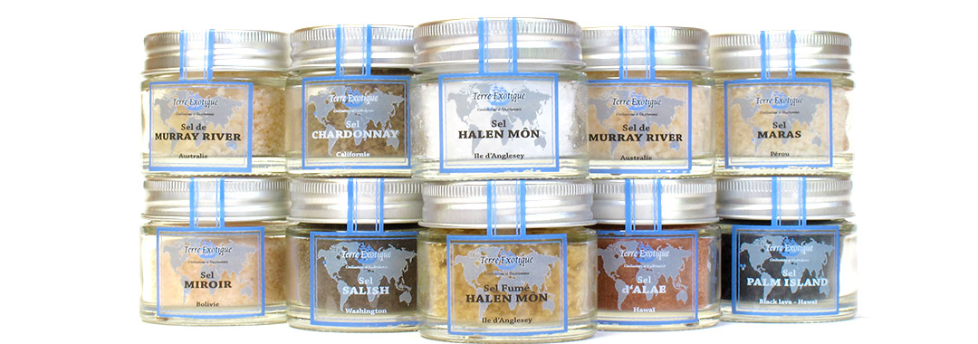 sel et fleur de sel sel et fleur de sel