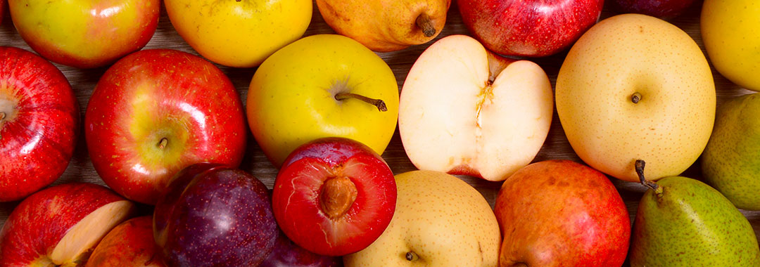 fruits du verger fruits du verger
