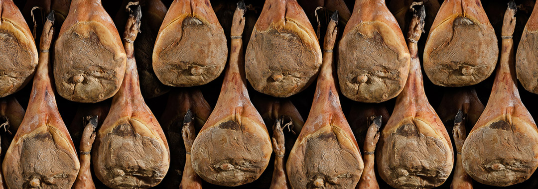 porc noir de bigorre porc noir de bigorre