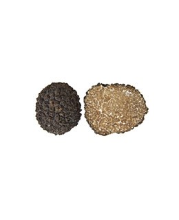Truffes noires fraîches 100g - Tuber Mélanosporum - Truffe France