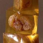 Cubes de gelée de whisky et marron confit corsiglia