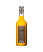 Nectar de mangue