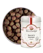 Baie de la Jamaïque - Terre Exotique