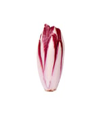 Endive rouge - Edélices Primeur