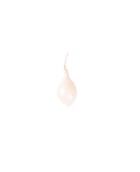 Oignon grelot blanc - Edélices Primeur