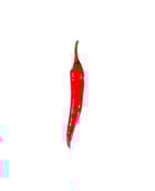 Piment rouge - Edélices Primeur