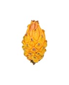 Pitaya jaune - Edélices Primeur