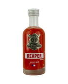 Purée de piment Carolina Reaper