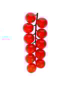 Tomate cerise grappe  - Edélices Primeur