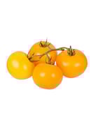 Tomate jaune grappe - Edélices Primeur