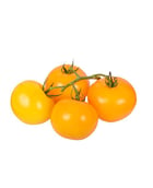 Tomate jaune grappe - Edélices Primeur