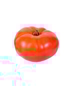 Tomate pleine terre - Edélices Primeur