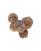 Truffes Bianchetti fraîches 100g - Tuber Albidum Pico - Truffe France