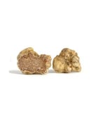 Truffes blanches d'Alba fraîches 50g - Tuber Magnatum pico - Truffe France