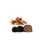 Truffes de Bourgogne fraîches 100g - Tuber Uncinatum - Truffe France