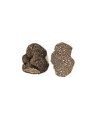 Truffes noires fraîches 100g - Tuber Melanosporum - Edélices