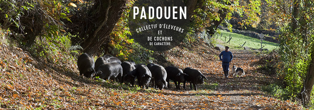 padouen padouen