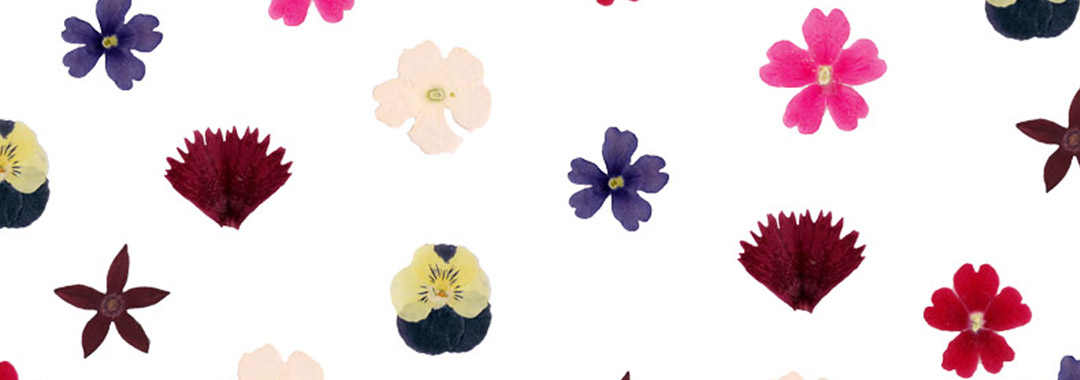 Fleurs comestibles Fleurs comestibles