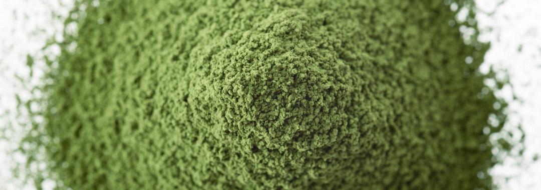 thé matcha thé matcha