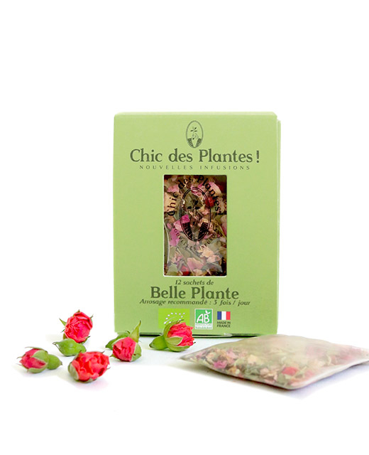 Infusion Belle Plante - Edélices
