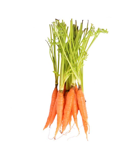 Carotte orange petite - Edélices Primeur