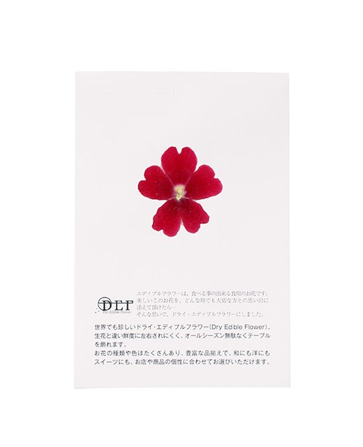 Fleurs comestibles séchées de verveine rouge - Neworks