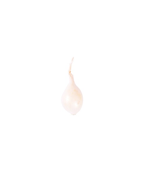 Oignon grelot blanc - Edélices Primeur