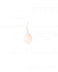 Oignon grelot blanc - Edélices Primeur