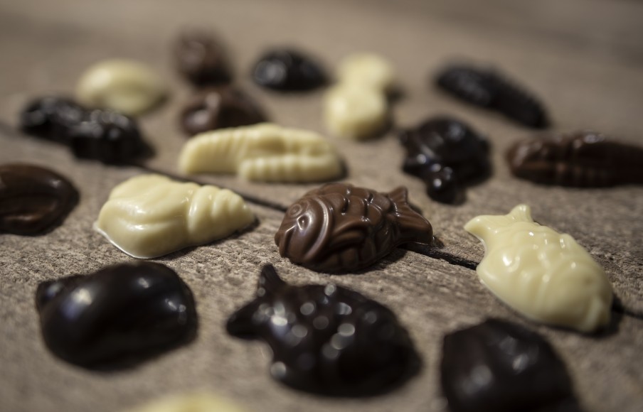Friture de Pâques en chocolat - assortiment  - Chocolaterie Daniel Mercier