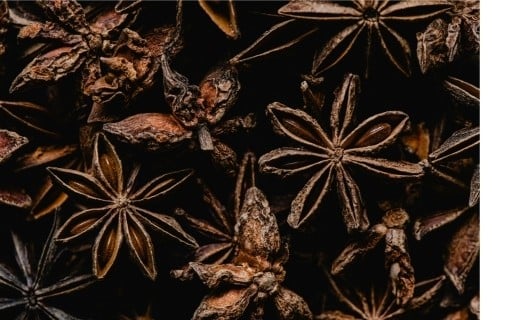 Badiane étoilée - Terre Exotique