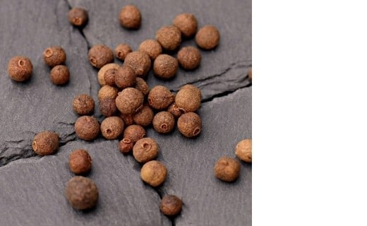 Baie de la Jamaïque - Terre Exotique