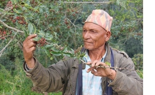 Baie timur - Terre Exotique