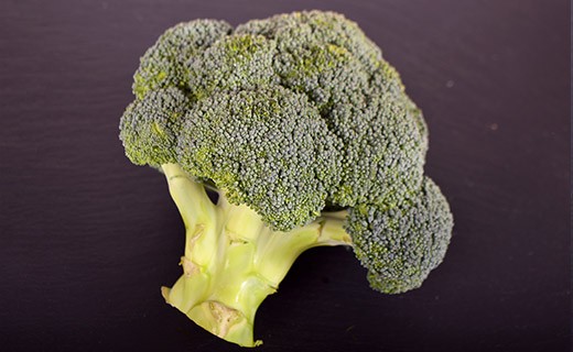 Brocoli - Edélices Primeur