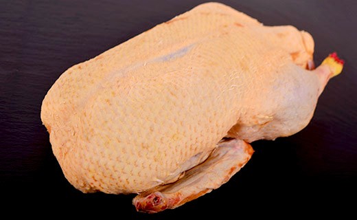 Canette de la Dombes - Entière - Edélices Boucherie