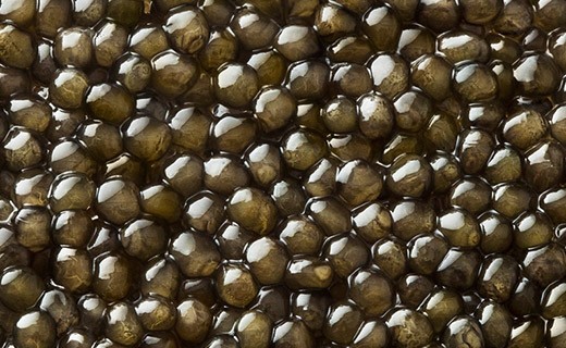 Caviar Osciètre Gold 50g - Kaviari
