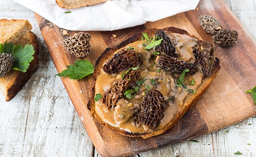 Morilles séchées - La Maison du Champignon