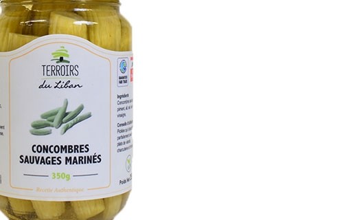 Concombres sauvages marinés - pickles - Terroirs du Liban