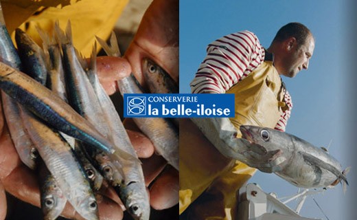 Sardines  à l’huile d’olive et au citron - La Belle-Iloise