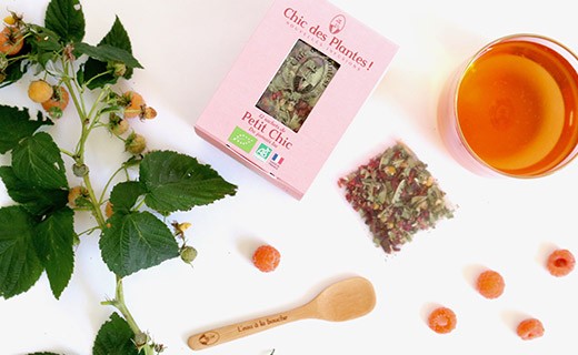 Infusion Petit Chic - bio - Chic des Plantes