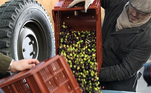 Tapéade verte aux amandes  - Château d'Estoublon