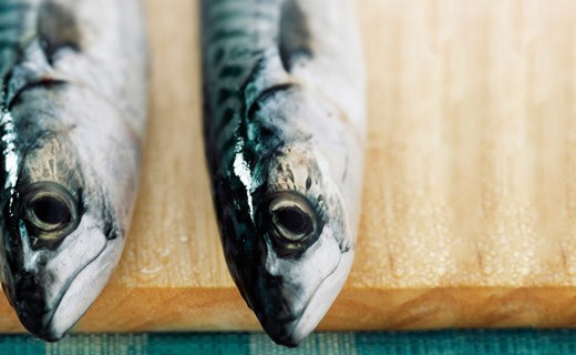 Filets de maquereaux marinés au vin blanc et aux aromates - La Belle-Iloise