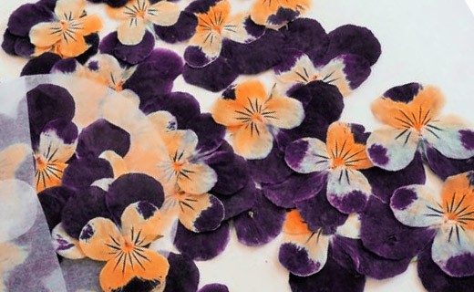 Fleurs comestibles séchées de pensée orange et violette - Neworks