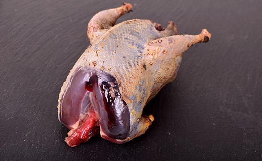 Grouse - 