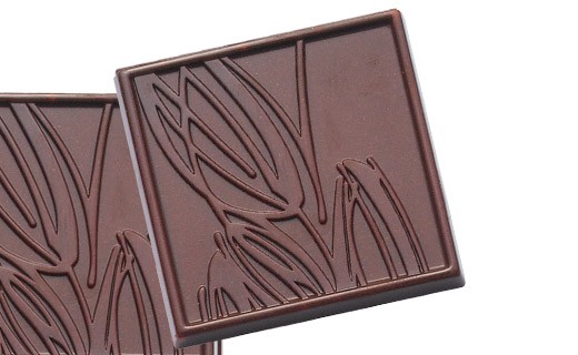 Moule pour carré de chocolat dégustation 5g - Barry