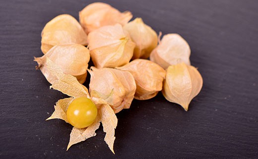 Physalis - Edélices Primeur