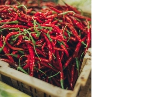 Piment d'Alep - Terre Exotique