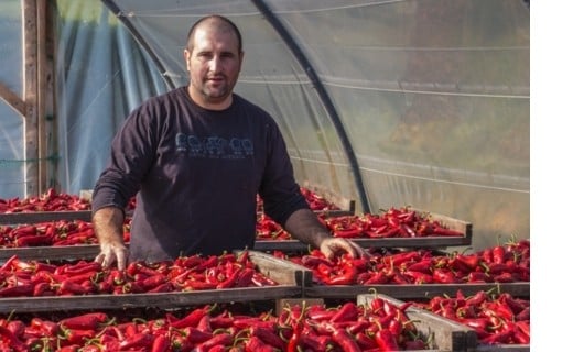 Piment d'Espelette AOP - Terre Exotique