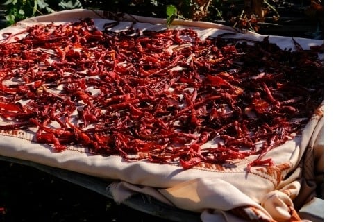 Piment d'Urfa - Terre Exotique