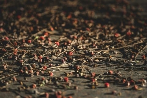 Poivre voatsiperifery - Terre Exotique