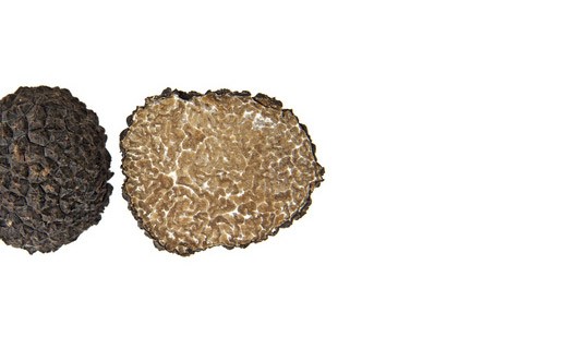 Truffes d'été fraîches 100g - Tuber Aestivum - Truffe France